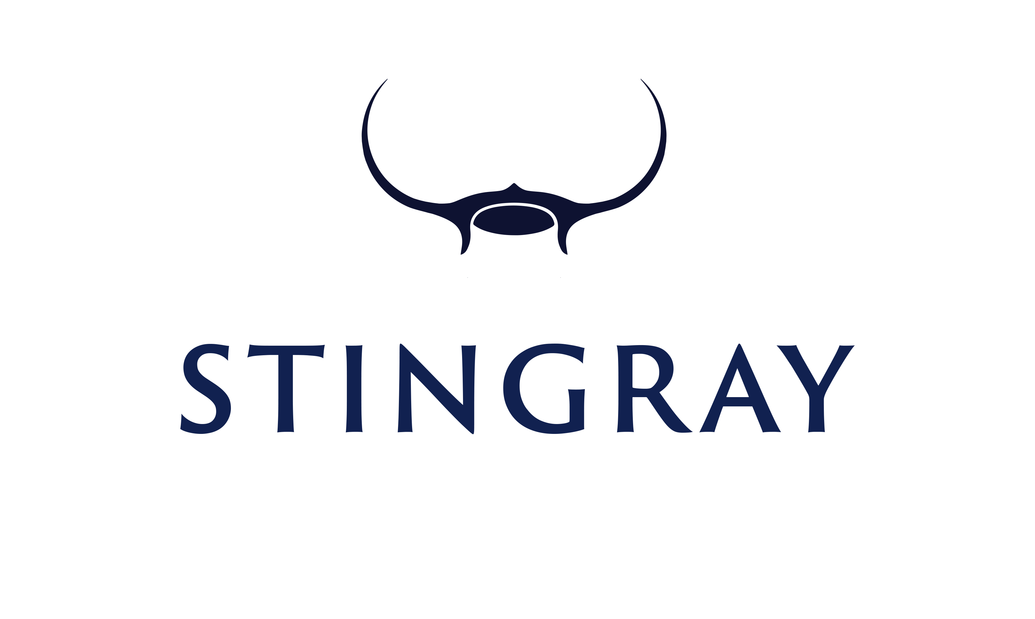 Professional Mooring Systems